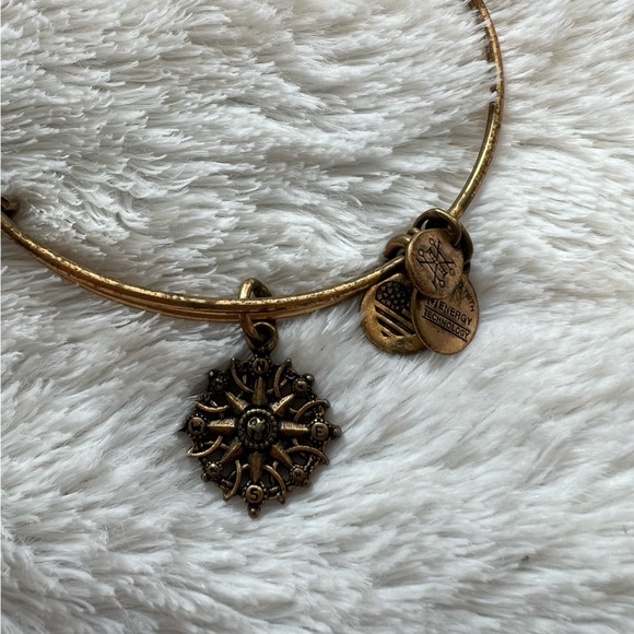 Alex and Ani Rose Gold Compass Bracelet - Picture 5 of 5